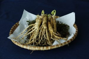 Ginseng Kapseln Test