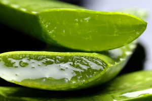 Kann man Aloe Vera essen