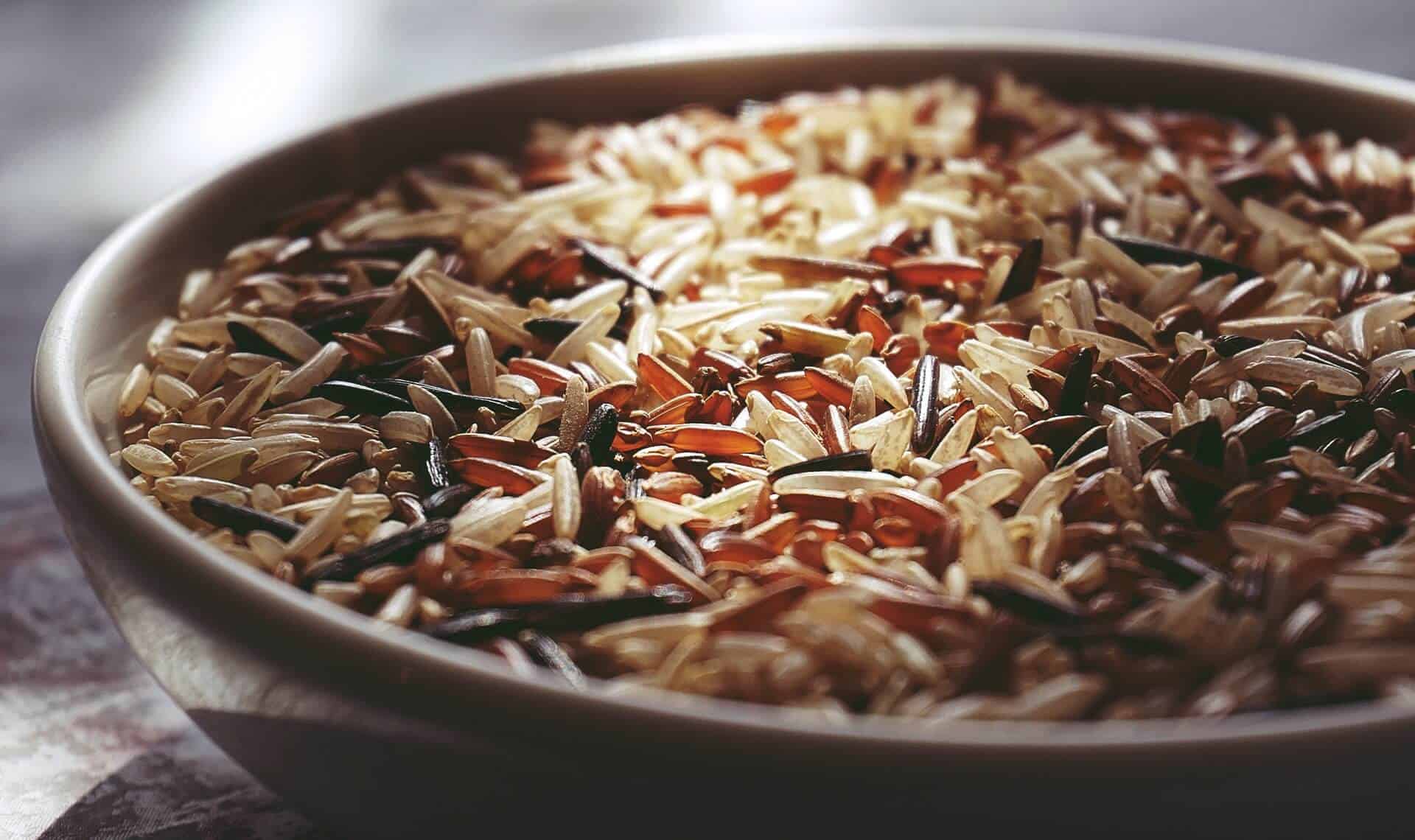 Reisprotein Erfahrung