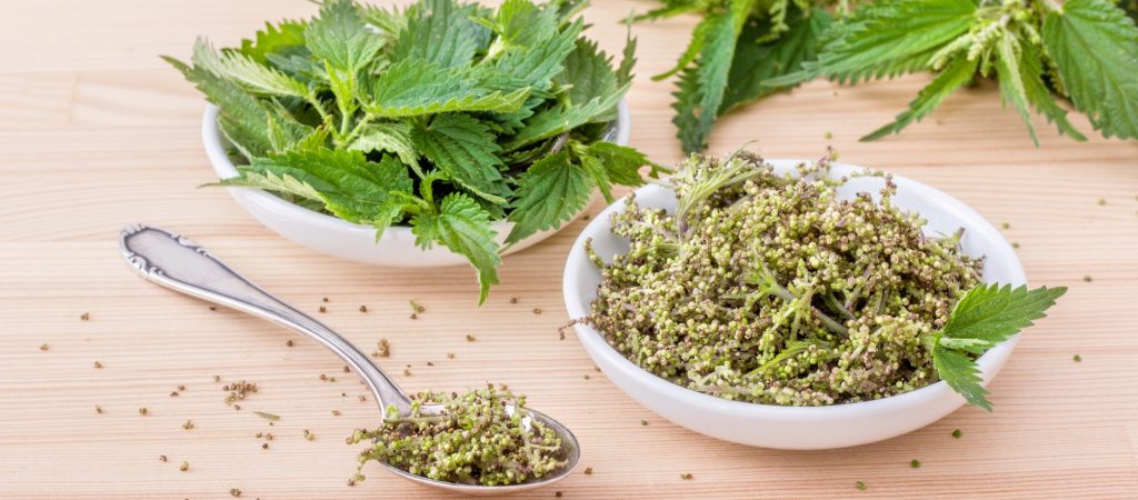 Brennesselsamen Erfahrung