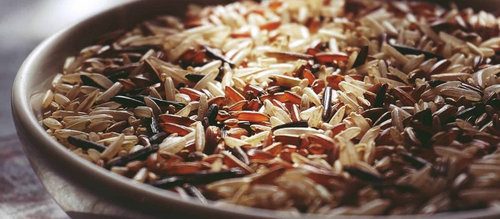 Reisprotein Erfahrung