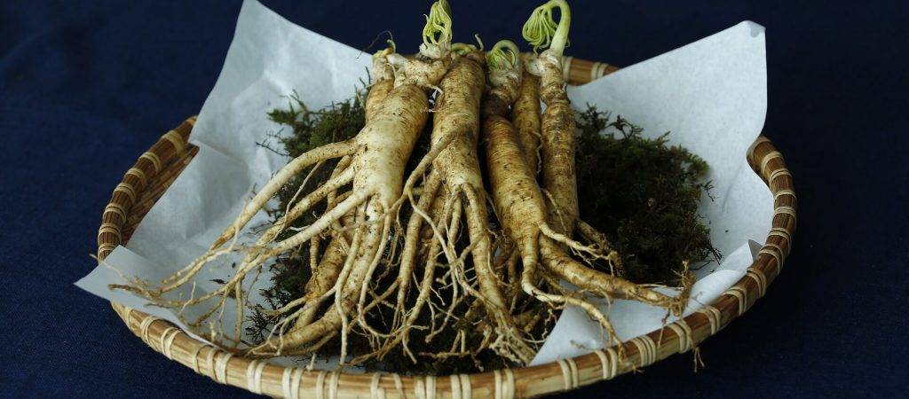Ginseng Kapseln Test