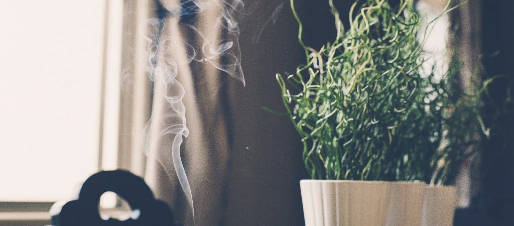 Weihrauch Kapseln Test